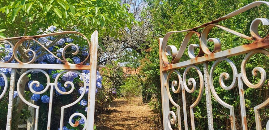 Terreno en camino de Mide, Sayanes