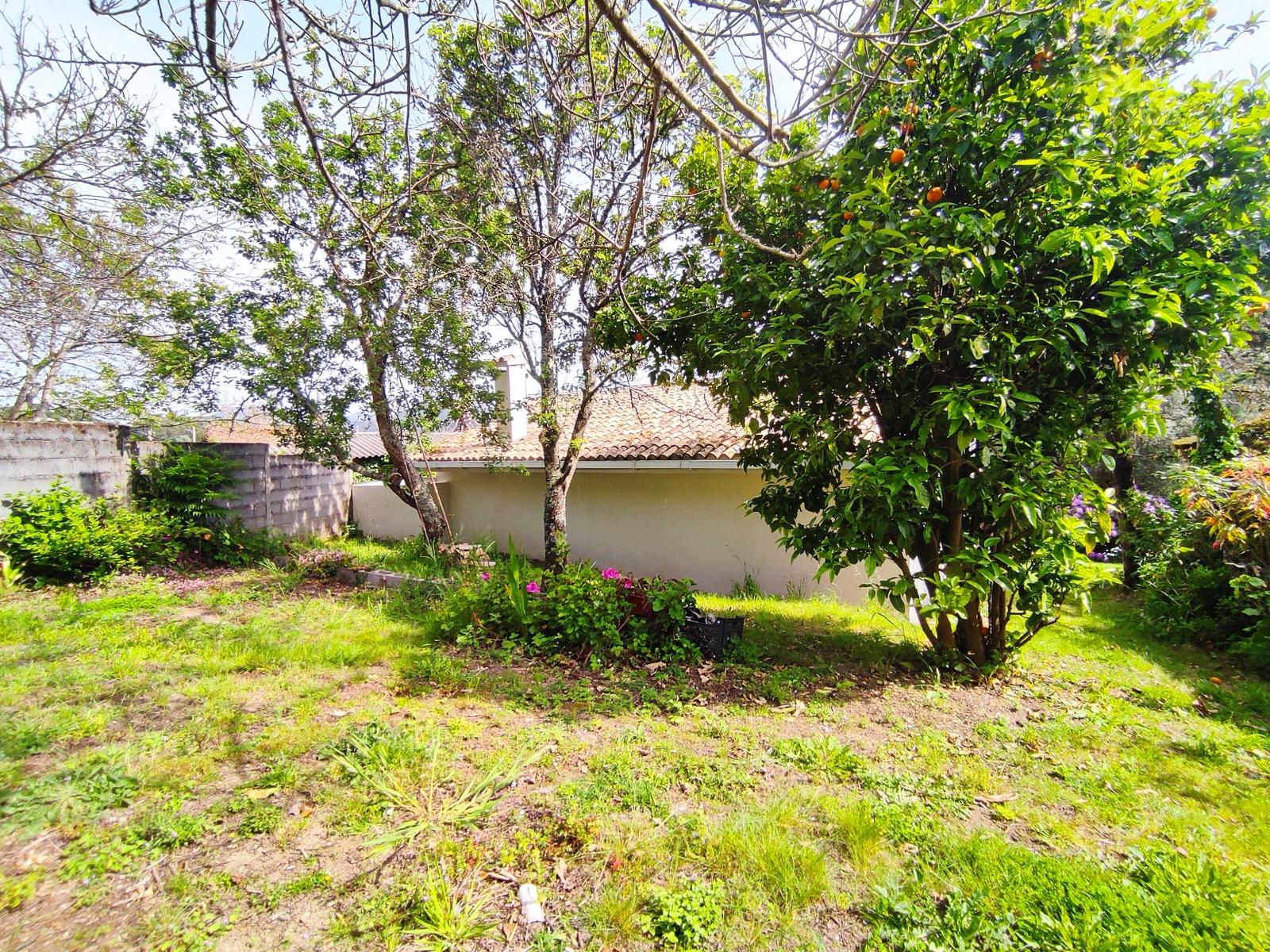 Casa en Camino Grolos (Nigrán)